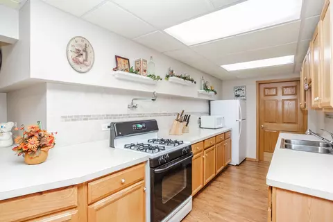 19508 Abbots Way, Mokena, IL 60448 photo 12