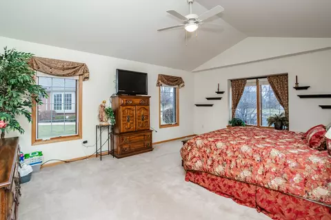 19508 Abbots Way, Mokena, IL 60448 photo 31