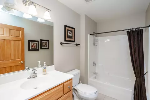 19508 Abbots Way, Mokena, IL 60448 photo 32