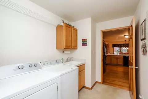19508 Abbots Way, Mokena, IL 60448 photo 37