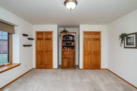 19508 Abbots Way, Mokena, IL 60448 photo 34