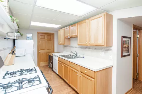 19508 Abbots Way, Mokena, IL 60448 photo 46