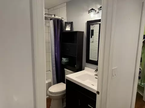 Bath - 535 Shagbark Dr, Elgin, IL 60123 photo 4 of 5