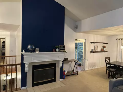 Other - 535 Shagbark Dr, Elgin, IL 60123 photo 1 of 12