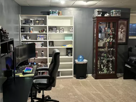 Other - 535 Shagbark Dr, Elgin, IL 60123 photo 11 of 12