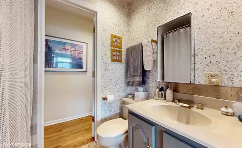 Bath - 1925 Maple Pl, Riverwoods, IL 60015 photo 2 of 4