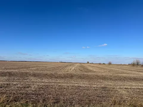 120 Acres Off Rainbow Rd, Weldon, IL 61882