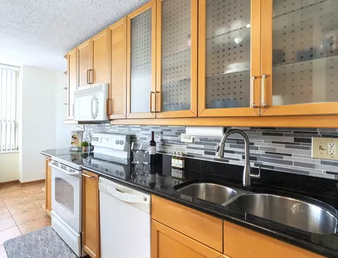 3925 Triumvera Dr #16C, Glenview, IL 60025 photo 5