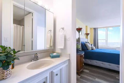 3925 Triumvera Dr #16C, Glenview, IL 60025 photo 16