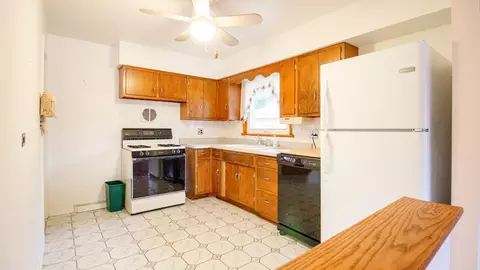 55 W Devon Ave, Roselle, IL 60172 photo 11