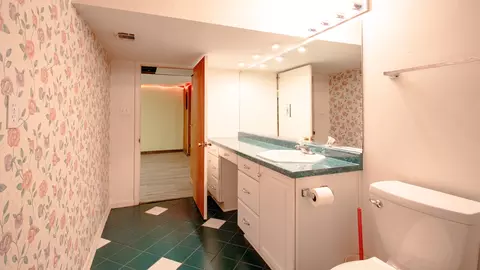 55 W Devon Ave, Roselle, IL 60172 photo 26