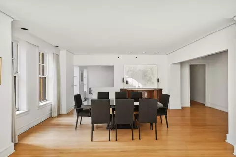 20 E Cedar St #6D, Chicago, IL 60611 photo 14