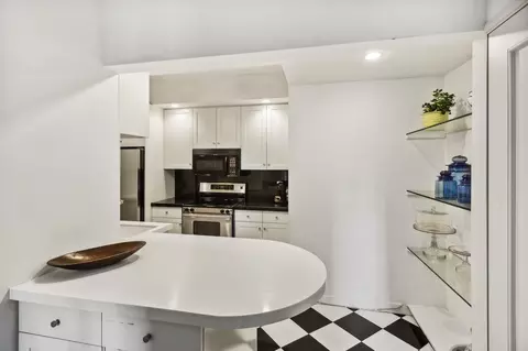 20 E Cedar St #6D, Chicago, IL 60611 photo 17