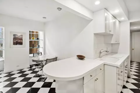 20 E Cedar St #6D, Chicago, IL 60611 photo 16