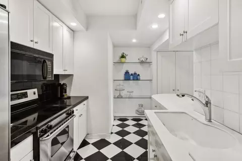 20 E Cedar St #6D, Chicago, IL 60611 photo 18