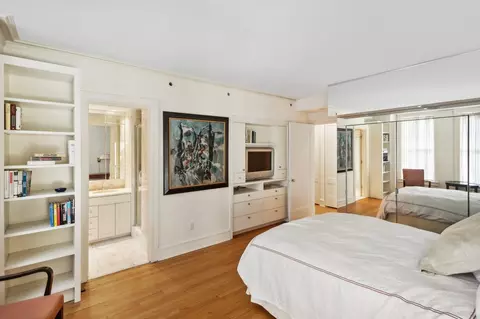 20 E Cedar St #6D, Chicago, IL 60611 photo 26