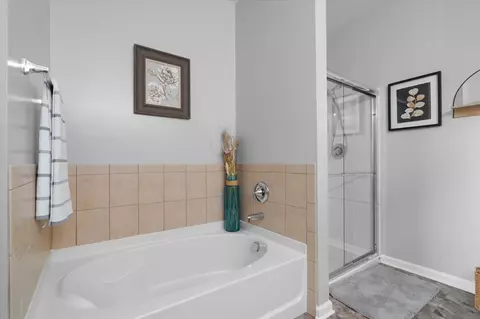 25403 Cove Ct, Plainfield, IL 60544 photo 15