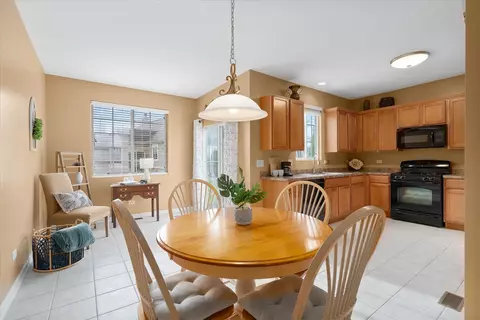 25403 Cove Ct, Plainfield, IL 60544 photo 11