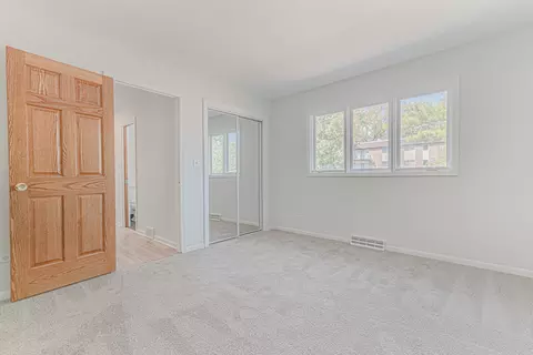 645 Ash St, Roselle, IL 60172 photo 17