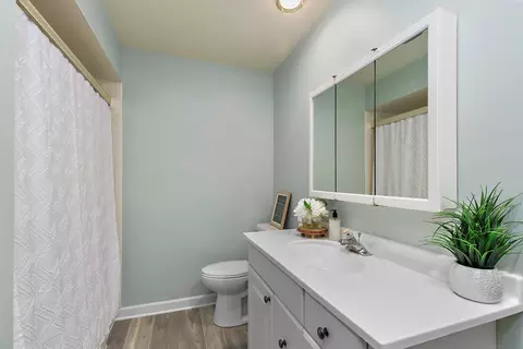 Bath - 163 E Devon Ave, Bartlett, IL 60103 photo 3 of 4
