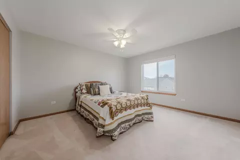 21541 W Chestnut Ln, Plainfield, IL 60544 photo 15