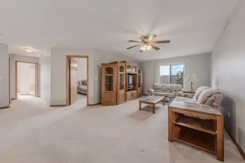 21541 W Chestnut Ln, Plainfield, IL 60544 photo 14
