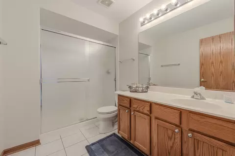 21541 W Chestnut Ln, Plainfield, IL 60544 photo 17