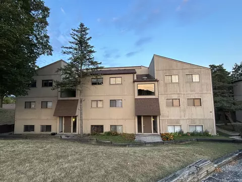 48 Oak Hill Colony Ln #10, Fox Lake, IL 60020