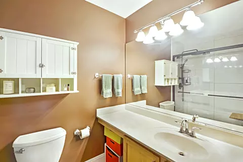2964 Falling Waters Ln, Lindenhurst, IL 60046 photo 23