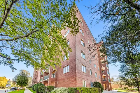 1325 Perry St #203, Des Plaines, IL 60016 photo 9