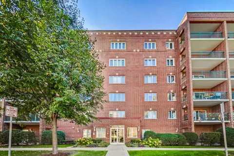 1325 Perry St #203, Des Plaines, IL 60016 photo 10