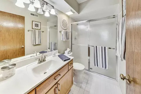1325 Perry St #203, Des Plaines, IL 60016 photo 22