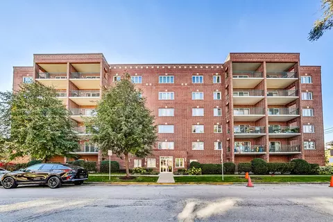 1325 Perry St #203, Des Plaines, IL 60016 photo 7