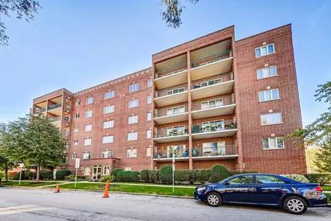 1325 Perry St #203, Des Plaines, IL 60016 photo 8