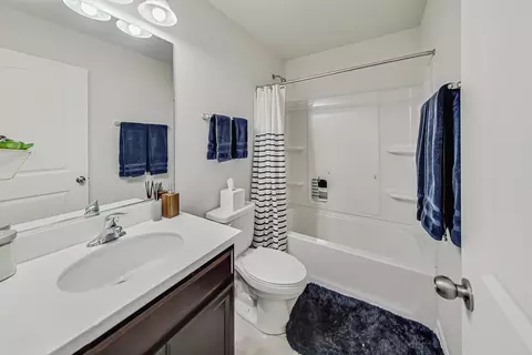 Bath - 1185 Colfax Ave, Des Plaines, IL 60016 photo 3 of 3
