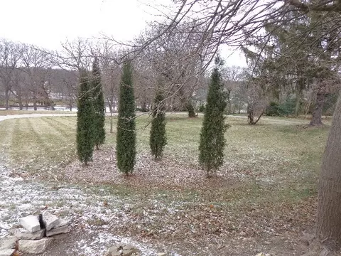 228 Crissey Ave, Geneva, IL 60134