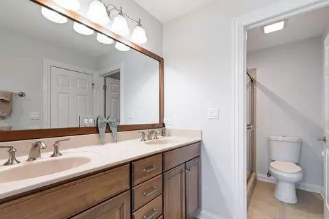 Bath - 200 Regency Ct #E, Wauconda, IL 60084 photo 3 of 4