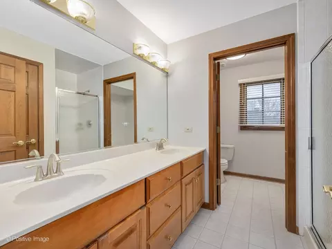 0 N785 Chickory Ct, Wheaton, IL 60187 photo 22