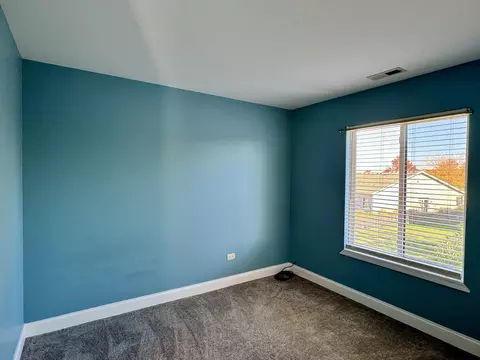 3006 Hoffman St, Plano, IL 60545 photo 22
