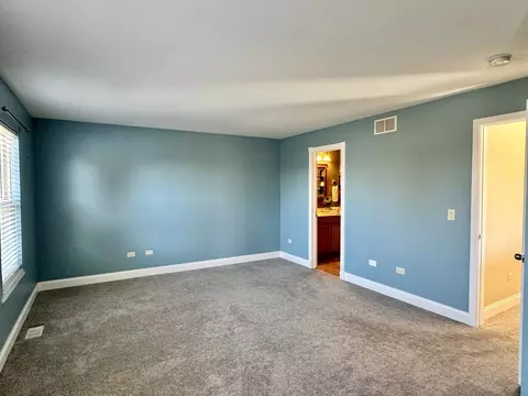 3006 Hoffman St, Plano, IL 60545 photo 15