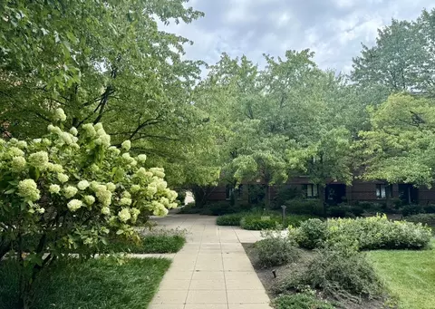Exterior - 19 Gale Ave, River Forest, IL 60305 photo 6 of 6