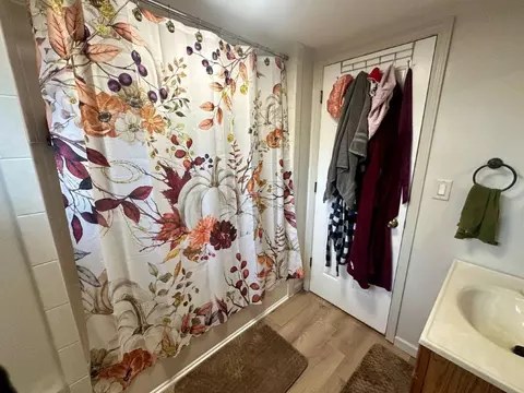 Bath - 316 W Chippewa St, Dwight, IL 60420 photo 5 of 5