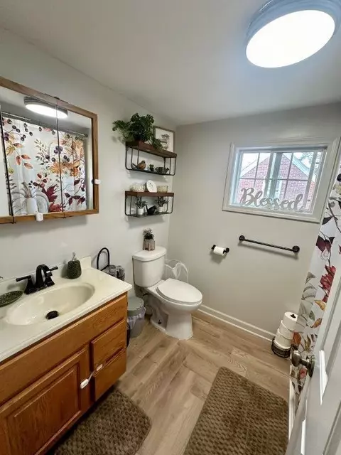 Bath - 316 W Chippewa St, Dwight, IL 60420 photo 4 of 5