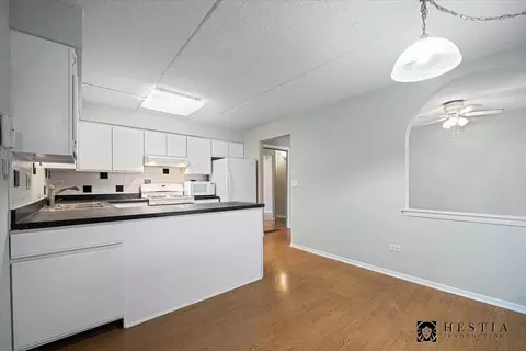 1436 E Thacker St #403, Des Plaines, IL 60016 photo 10