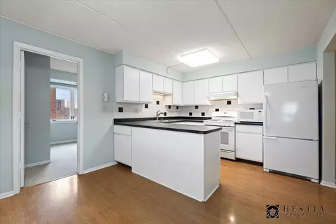 1436 E Thacker St #403, Des Plaines, IL 60016 photo 5