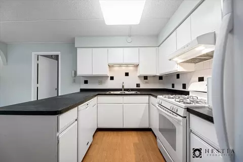 1436 E Thacker St #403, Des Plaines, IL 60016 photo 4