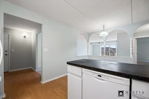 1436 E Thacker St #403, Des Plaines, IL 60016 photo 8