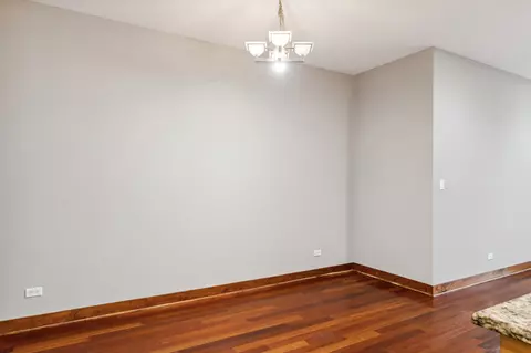 Other - 421 E 45th St #2E, Chicago, IL 60653 photo 3 of 4