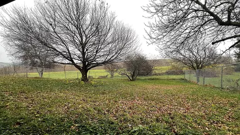 5517 Daggert Rd, Mount Carroll, IL 61053 photo 10