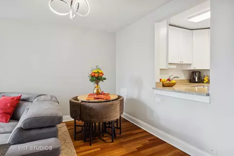 100 E Walton St #36E, Chicago, IL 60611 photo 10